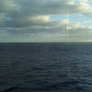 Meet your Posher, Judy